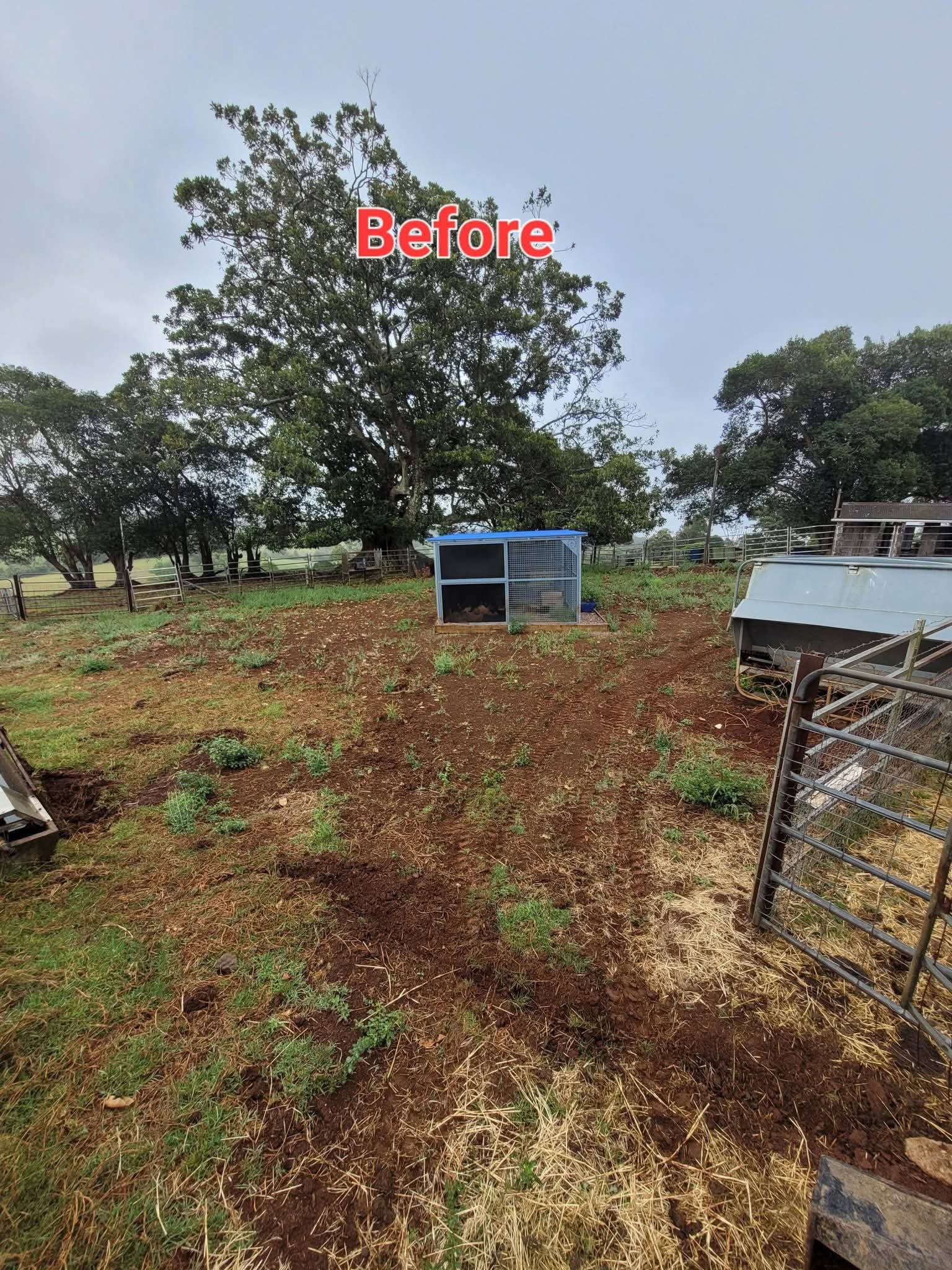 Excavation Work (18)